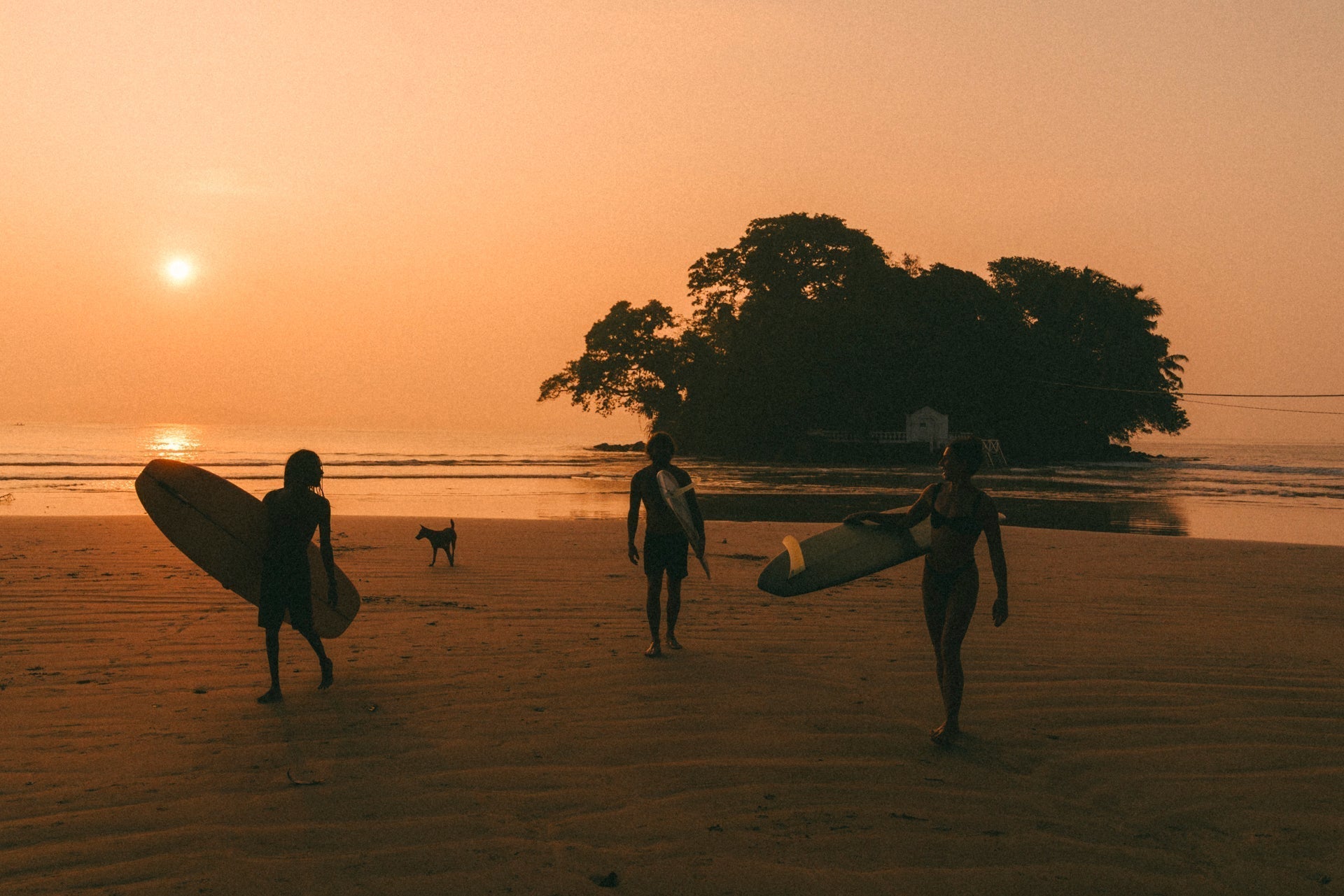 Return to Ceylon