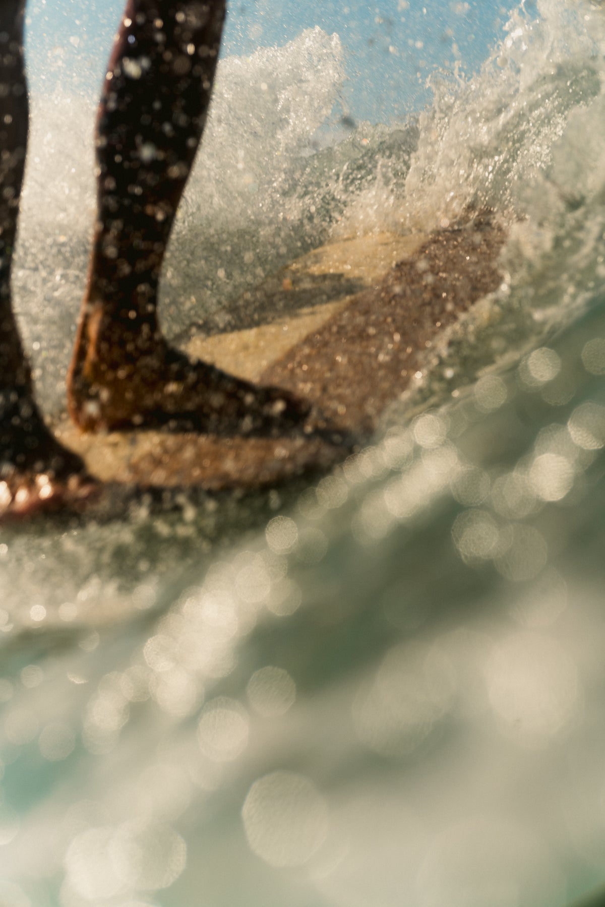 noserider longboard for sale in bali surfing photo